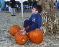 Or15.jpg (12198 bytes)